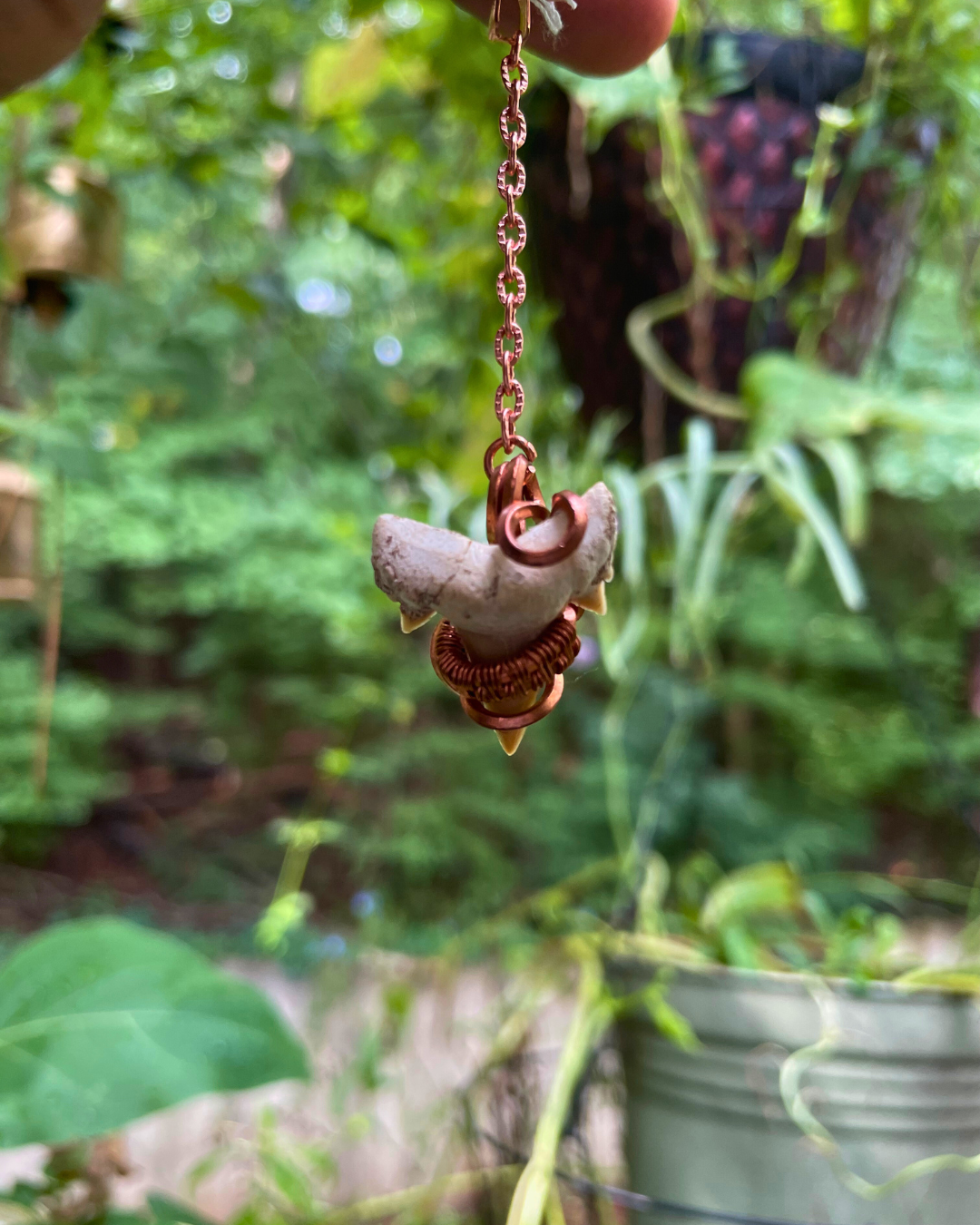 Shark Tooth Single Dangling Earring