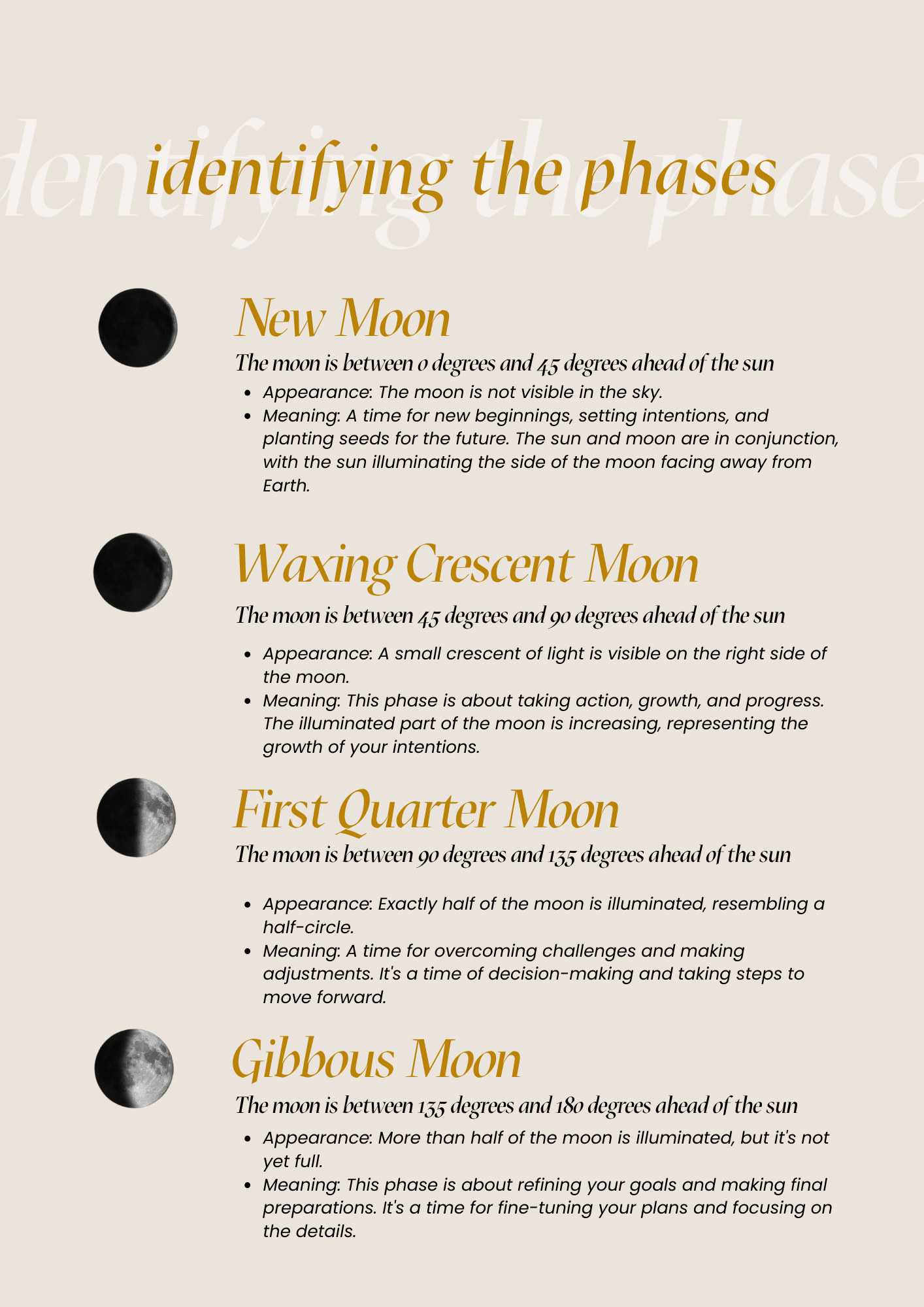 The Moon Work Guide